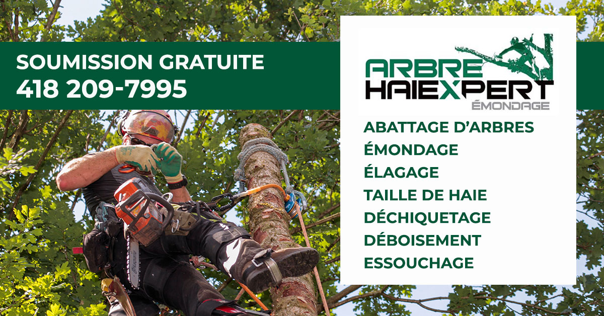 Élagage, émondage, démontage, essouchage à Saint-Georges